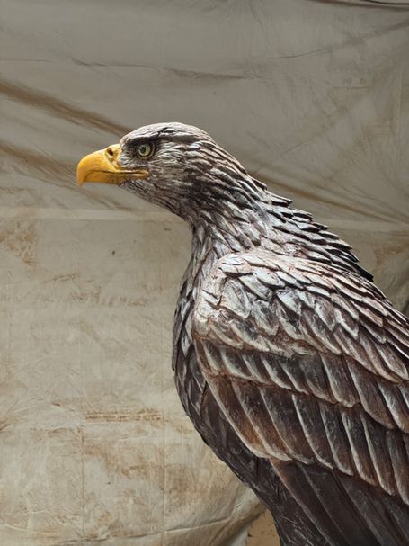 Life Sized White Tailed Eagle Chainsaw Carving
