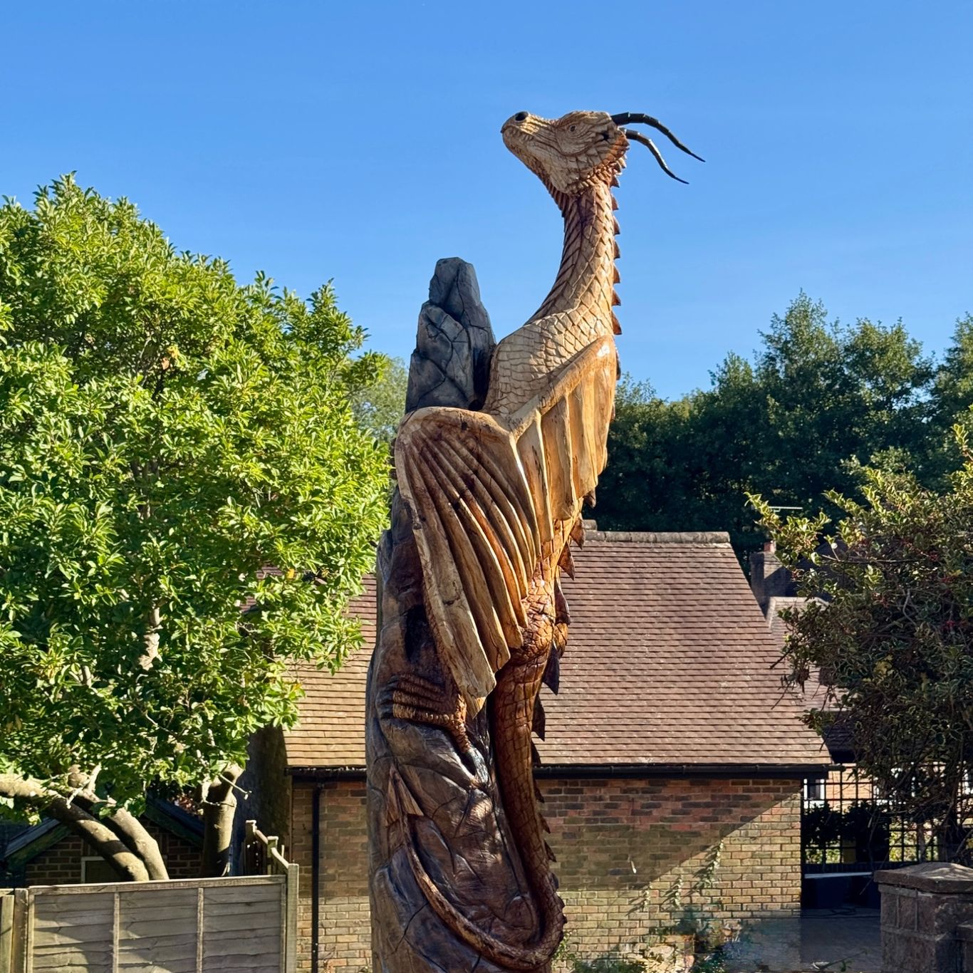 Faẽla the Wickham Dragon carved from a standing beech tree in Hampshire