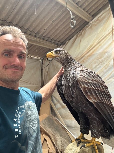 Life Sized White Tailed Eagle Chainsaw Carving